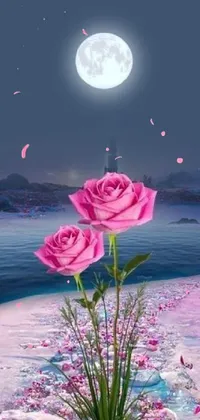 This phone live wallpaper showcases pink roses on a beach, with a digital rendering creating a high-quality image