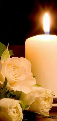 Flower Wax Candle Live Wallpaper