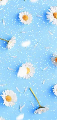 Flower White Azure Live Wallpaper