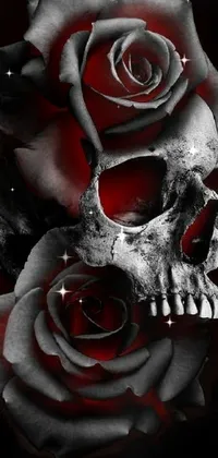 This live wallpaper features a skull and two roses set against a black background