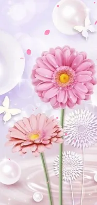 Flower White Dishware Live Wallpaper