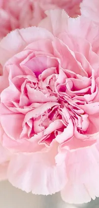 This live wallpaper can transform your phone with a stunning sight of a vase brimming with soft pink flowers on a table