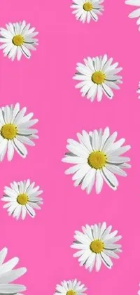 Flower White Petal Live Wallpaper