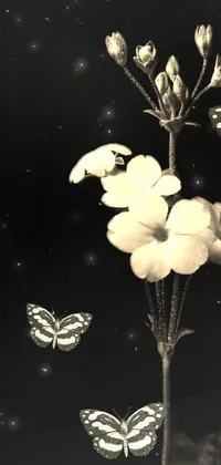 Flower White Plant Live Wallpaper