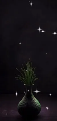 Flowerpot Terrestrial Plant Plant Live Wallpaper
