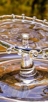 This phone live wallpaper features a close-up of a glass object in brown-colored water surrounded by flowing fountains