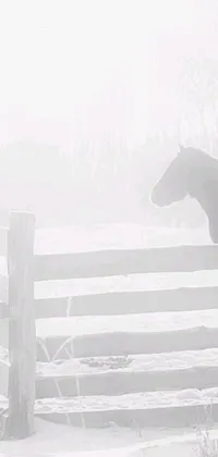 This live wallpaper showcases a beautiful horse in a snowy landscape