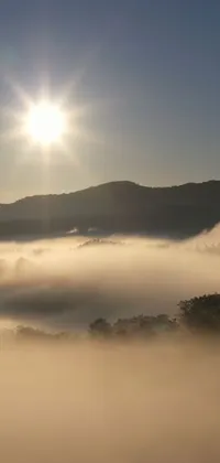 Fog Sky Sunrise Live Wallpaper