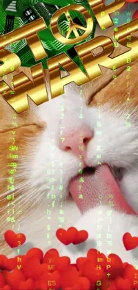 Font Petal Cat Live Wallpaper