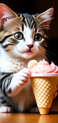 Food Cat Ice Cream Cone Live Wallpaper