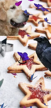 Food Dog Bird Live Wallpaper