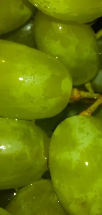 This live wallpaper features a close-up of green grapes filling with water