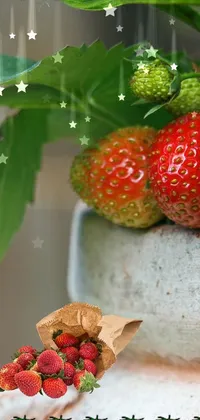 Get lost in the splendor of nature with this live phone wallpaper featuring a potted plant filled with luscious strawberries