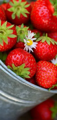 Get your phone ready for spring with this stunning live wallpaper! Featuring a wooden table topped with a bucket of ripe, juicy strawberries, this wallpaper looks good enough to eat