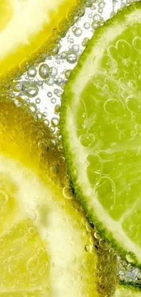 This phone live wallpaper features a close-up of lemon slices submerged in a glass of water