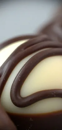 fun fudge cupcake  Live Wallpaper