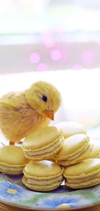 This delightful live wallpaper features a charming, pastel scene of a small yellow bird perched on a plate of beautifully iced cookies