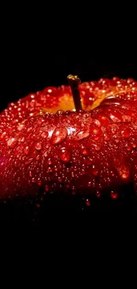 This live phone wallpaper features a stunning macro photograph of a red apple with water droplets on it, set against a black background