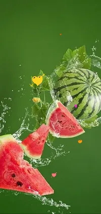20230401Watermelons  Live Wallpaper