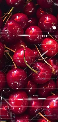 This live wallpaper features a high-quality close-up image of cherries, displaying their incredible detail and vibrant colors in stunning organic quality