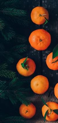 Food Plant Clementine Live Wallpaper