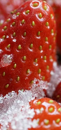 This stunning phone live wallpaper features a close-up macro photograph of juicy strawberries covered in snow, showcasing impeccable detail and texture
