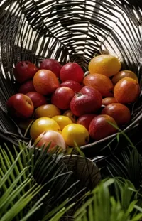 Food Plant Fruit Live Wallpaper