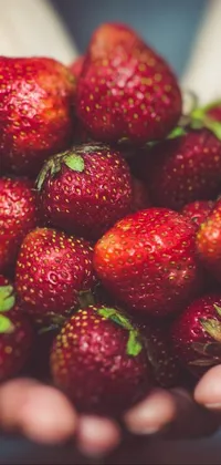 This phone live wallpaper showcases a stunning close-up shot of hands holding a bunch of strawberries against a vintage colored backdrop