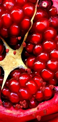 Get the taste of prosperity on your phone with this stunning close-up live wallpaper of a vibrant pomegranate