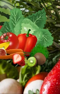 Food Plant Ingredient Live Wallpaper
