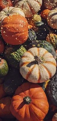 Food Plant Pumpkin Live Wallpaper