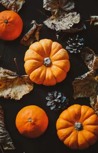 Food Plant Pumpkin Live Wallpaper