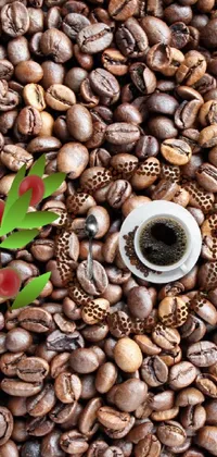 Food Plant Single-origin Coffee Live Wallpaper
