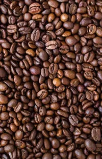 Food Single-origin Coffee Plant Live Wallpaper