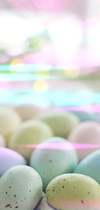 Food Sweetness Egg Live Wallpaper