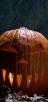 This live wallpaper depicts a black cat sitting next to a beautifully carved pumpkin with a lit candle inside