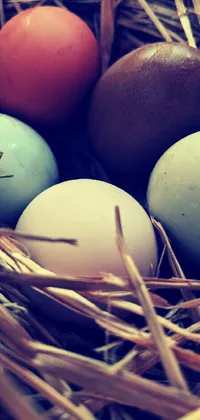 This phone live wallpaper features a close-up of bird eggs nestled in a beautiful, colorized nest with a triadic color grading technique