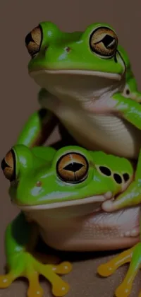 Frog Eye Green Live Wallpaper