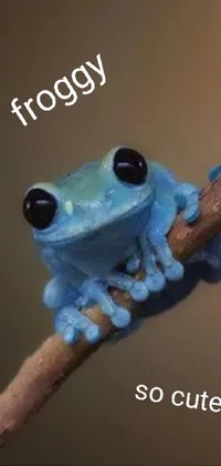 Frog Finger True Frog Live Wallpaper