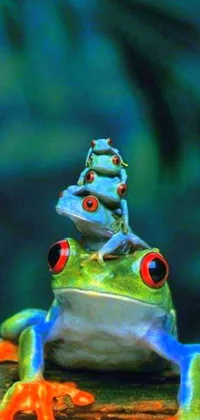Enhance your phone's look with a vibrant live wallpaper featuring a delightful frog sitting on a wooden log against a stacked photo with a range of blue, green, and red hues in an Art Nouveau style