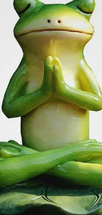 Frog True Frog Green Live Wallpaper - free download
