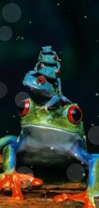 Frog Light Space Live Wallpaper