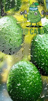Avocado  Live Wallpaper