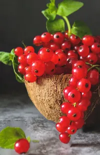 Fruit Natural Foods Seedless Fruit Live Wallpaper