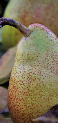 Fruit Pear Live Wallpaper
