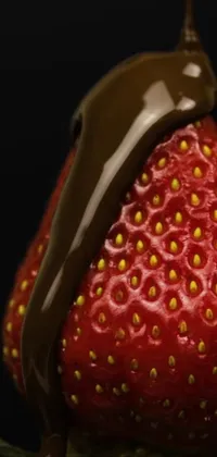 Experience the mouth-watering beauty of a chocolate-covered strawberry with this stunning live wallpaper