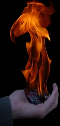Gas Flame Heat Live Wallpaper