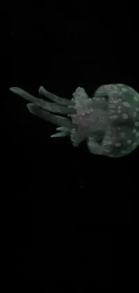 Gesture Bioluminescence Marine Invertebrates Live Wallpaper