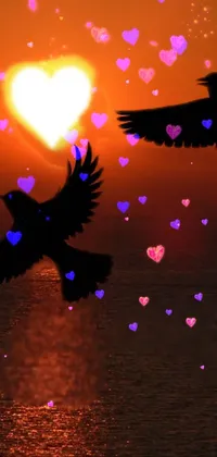 This live wallpaper for phone shows two birds soaring over a shimmering body of water, with a heart symbol displayed in the background