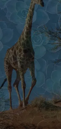 Looking for a unique phone wallpaper? Check out this captivating digital art image featuring a majestic giraffe standing on a dirt field